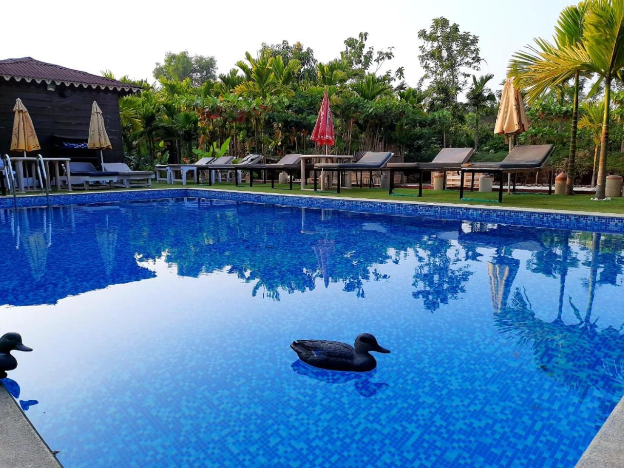 Go Green Spice & Eco Resort Cavelossim Esterno foto