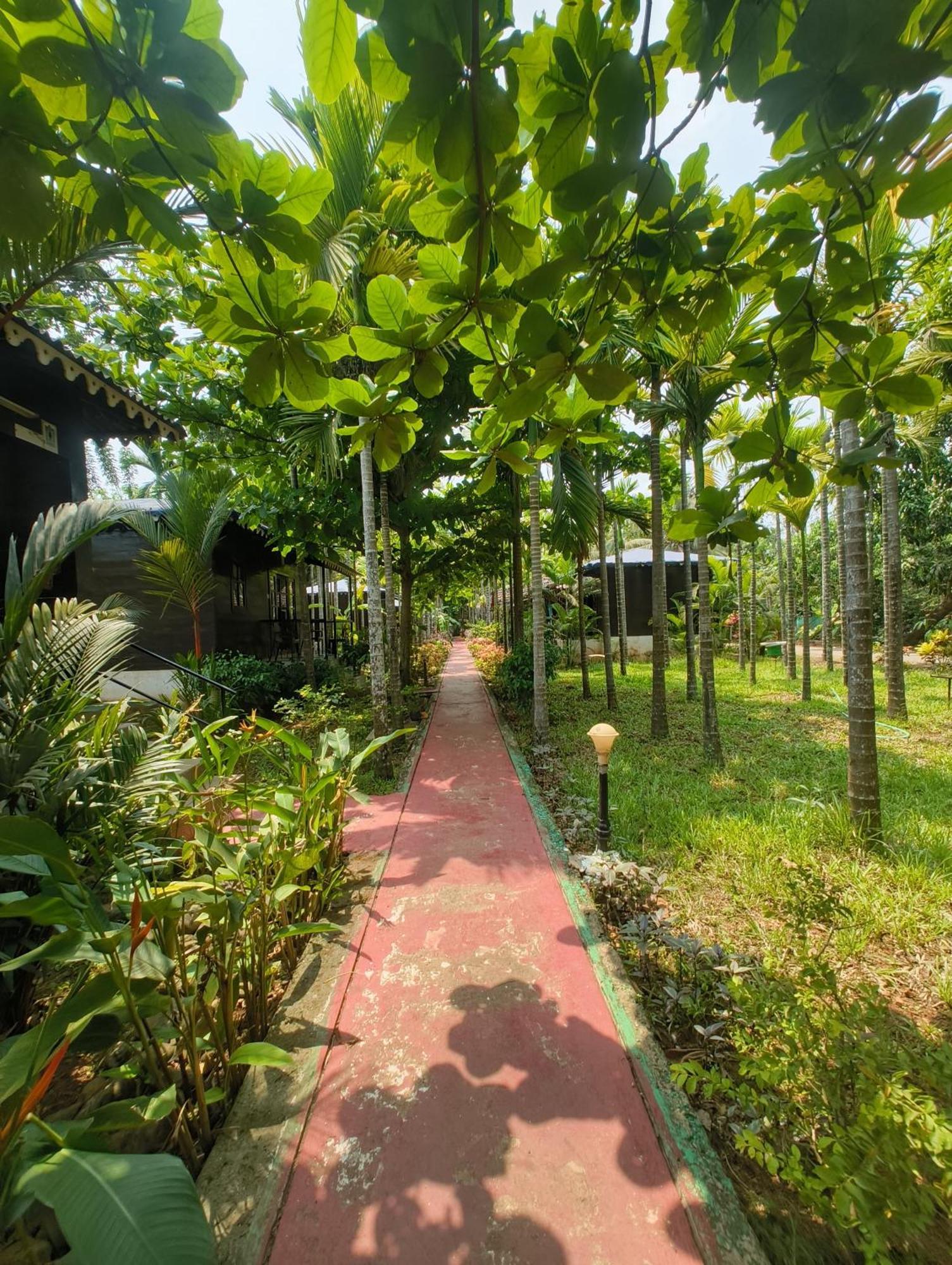 Go Green Spice & Eco Resort Cavelossim Esterno foto